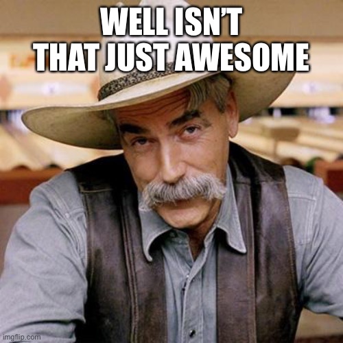SARCASM COWBOY | WELL ISN’T THAT JUST AWESOME | image tagged in sarcasm cowboy | made w/ Imgflip meme maker