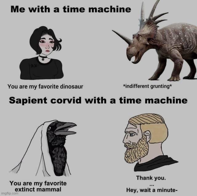 Sapient Corvid with a time machine | image tagged in sapient corvid with a time machine | made w/ Imgflip meme maker