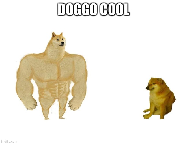 Doggo and cheems | DOGGO COOL | image tagged in doggo and cheems | made w/ Imgflip meme maker