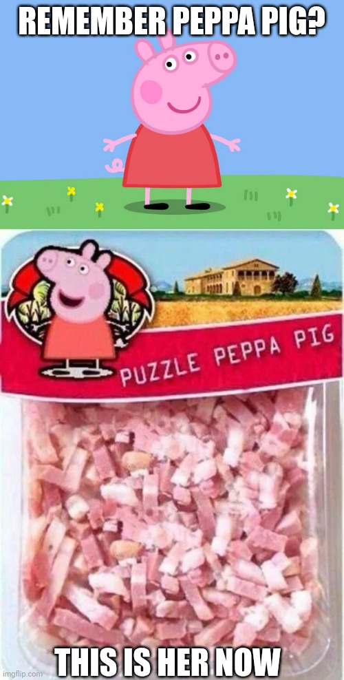 Peppa Pig got turned into meat bits | REMEMBER PEPPA PIG? THIS IS HER NOW | image tagged in peppa pig,funny,dank memes,meat,delicious,stop reading the tags | made w/ Imgflip meme maker