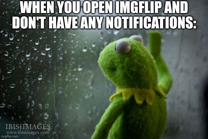 kermit window | WHEN YOU OPEN IMGFLIP AND DON'T HAVE ANY NOTIFICATIONS: | image tagged in kermit window | made w/ Imgflip meme maker