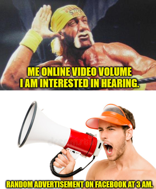 Two Extremes | ME ONLINE VIDEO VOLUME I AM INTERESTED IN HEARING. RANDOM ADVERTISEMENT ON FACEBOOK AT 3 AM. | image tagged in hulk hogan ear,loudspeaker mike | made w/ Imgflip meme maker