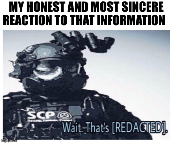 [redaction]status | MY HONEST AND MOST SINCERE REACTION TO THAT INFORMATION | image tagged in mtf redacted | made w/ Imgflip meme maker