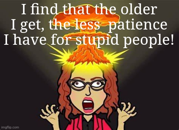 Have No Time for Foolishness | I find that the older I get, the less  patience I have for stupid people! | image tagged in stupid people,intolerance,aging | made w/ Imgflip meme maker