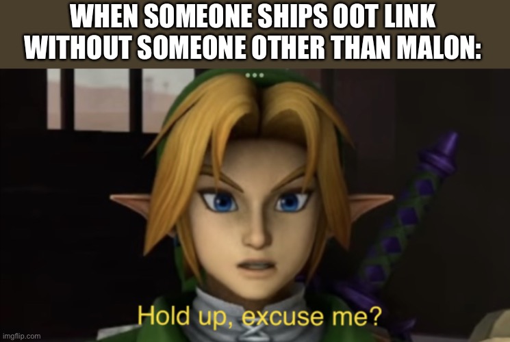 Link: hold up, excuse me? | WHEN SOMEONE SHIPS OOT LINK WITHOUT SOMEONE OTHER THAN MALON: | image tagged in link hold up excuse me | made w/ Imgflip meme maker