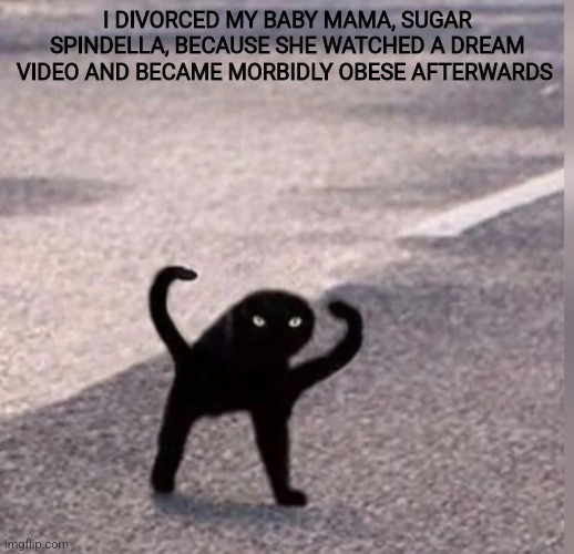Cursed Cat | I DIVORCED MY BABY MAMA, SUGAR SPINDELLA, BECAUSE SHE WATCHED A DREAM VIDEO AND BECAME MORBIDLY OBESE AFTERWARDS | image tagged in cursed cat | made w/ Imgflip meme maker