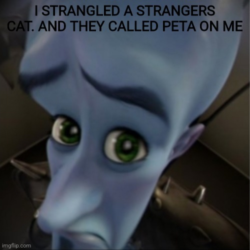 Megamind peeking | I STRANGLED A STRANGERS CAT. AND THEY CALLED PETA ON ME | image tagged in megamind peeking | made w/ Imgflip meme maker