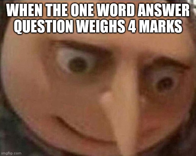 Random Bulls**t go brrrrrr |  WHEN THE ONE WORD ANSWER QUESTION WEIGHS 4 MARKS | image tagged in gru meme | made w/ Imgflip meme maker