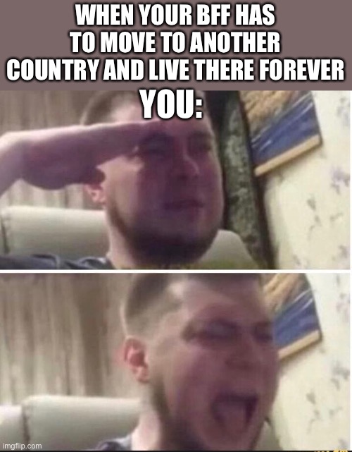 NOOO! |  WHEN YOUR BFF HAS TO MOVE TO ANOTHER COUNTRY AND LIVE THERE FOREVER; YOU: | image tagged in crying salute,say goodbye,bffs | made w/ Imgflip meme maker