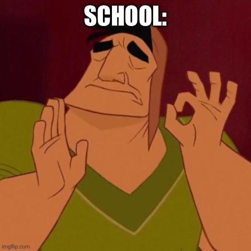SCHOOL: | image tagged in pacha perfect | made w/ Imgflip meme maker