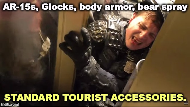 January 6th, Capitol police crushed by tourists | AR-15s, Glocks, body armor, bear spray; STANDARD TOURIST ACCESSORIES. | image tagged in january 6th capitol police crushed by tourists,ar-15,glock,capitol hill,riot,coup | made w/ Imgflip meme maker