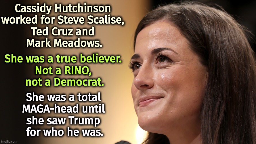 Trump, the tin god with feet of clay. | Cassidy Hutchinson 
worked for Steve Scalise, 
Ted Cruz and 
Mark Meadows. She was a true believer. 
Not a RINO, 
not a Democrat. She was a total 
MAGA-head until 
she saw Trump 
for who he was. | image tagged in donald trump,insurrection,sedition,coup,overthrow,constitution | made w/ Imgflip meme maker