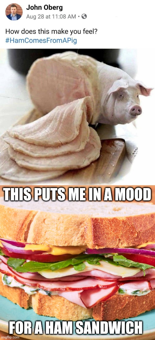 Ham | THIS PUTS ME IN A MOOD; FOR A HAM SANDWICH | image tagged in big ham sandwich,ham,pigs,pig,memes,ham sandwich | made w/ Imgflip meme maker