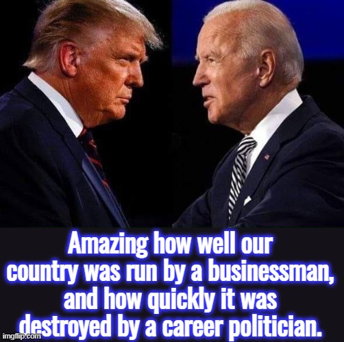 This is impossible to miss for anyone that is honest with themselves. |  Amazing how well our country was run by a businessman, and how quickly it was destroyed by a career politician. | image tagged in trump vs shyster,president trump,creepy joe biden,election fraud,economy | made w/ Imgflip meme maker