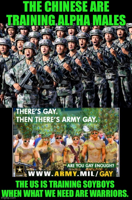 We need Warriors not emotional basket cases | THE CHINESE ARE TRAINING ALPHA MALES; THE US IS TRAINING SOYBOYS WHEN WHAT WE NEED ARE WARRIORS. | image tagged in chinese army,easily offended,basket case,emotionally weak,once they were soldiers | made w/ Imgflip meme maker