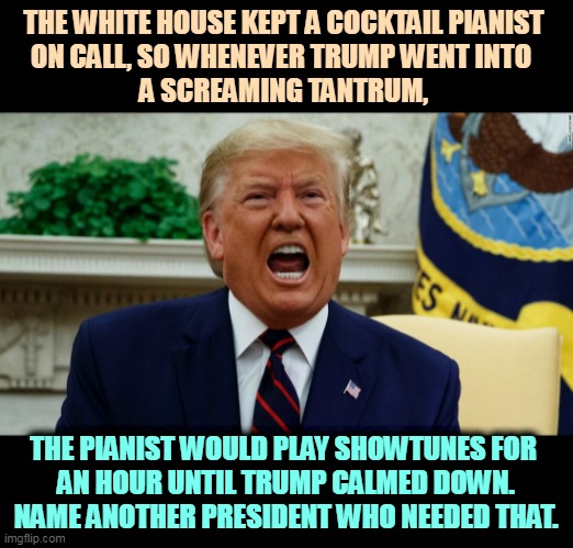 Trump screaming in fear | THE WHITE HOUSE KEPT A COCKTAIL PIANIST 
ON CALL, SO WHENEVER TRUMP WENT INTO 
A SCREAMING TANTRUM, THE PIANIST WOULD PLAY SHOWTUNES FOR 
AN HOUR UNTIL TRUMP CALMED DOWN. NAME ANOTHER PRESIDENT WHO NEEDED THAT. | image tagged in trump screaming in fear,trump,unique,tantrum,insanity | made w/ Imgflip meme maker