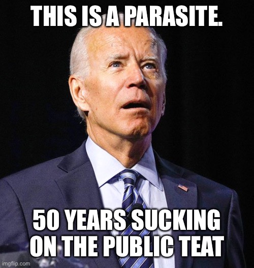 Joe Biden | THIS IS A PARASITE. 50 YEARS SUCKING ON THE PUBLIC TEAT | image tagged in joe biden | made w/ Imgflip meme maker