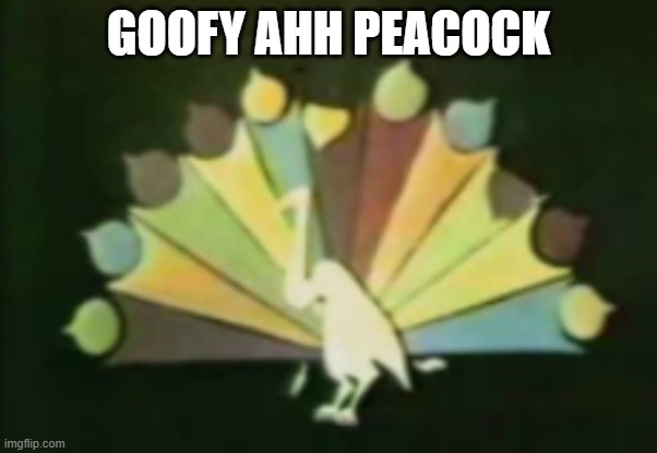 goofy ahh peacock | GOOFY AHH PEACOCK | image tagged in repost | made w/ Imgflip meme maker