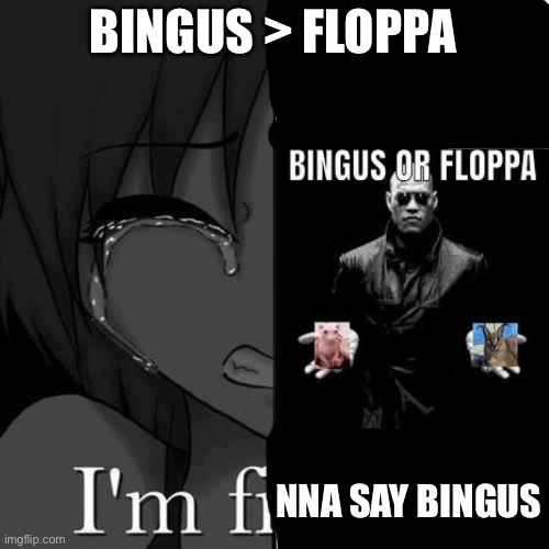 bingus supremacy | BINGUS > FLOPPA; NNA SAY BINGUS | image tagged in im fi | made w/ Imgflip meme maker