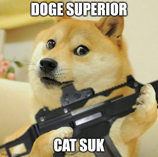 doge gun | DOGE SUPERIOR CAT SUK | image tagged in doge gun | made w/ Imgflip meme maker
