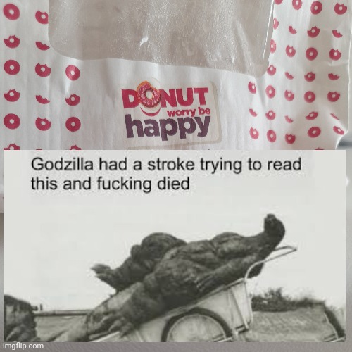 Godzila had a stroke | image tagged in godzilla had a stroke trying to read this and fricking died | made w/ Imgflip meme maker