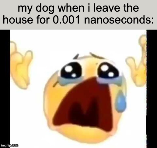 cursed crying emoji | my dog when i leave the house for 0.001 nanoseconds: | image tagged in cursed crying emoji | made w/ Imgflip meme maker