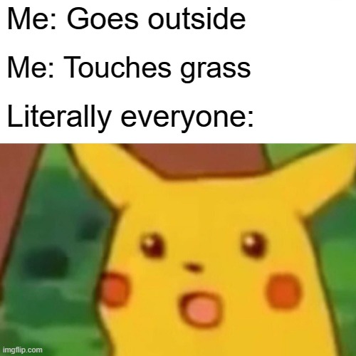 Surprised Pikachu Meme | Me: Goes outside; Me: Touches grass; Literally everyone: | image tagged in memes,surprised pikachu | made w/ Imgflip meme maker