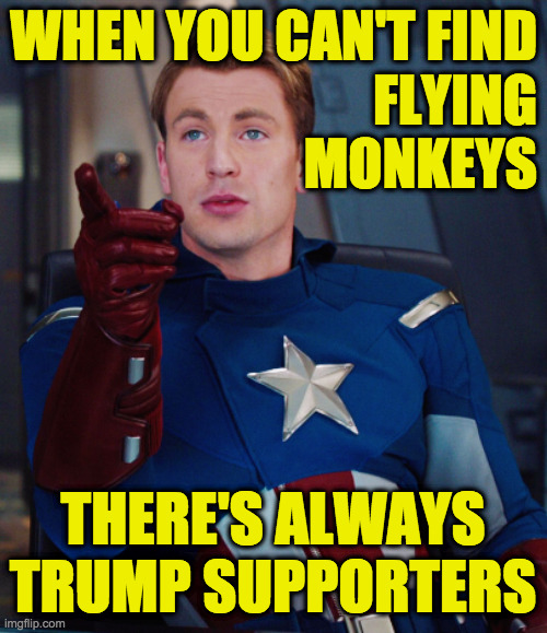 WHEN YOU CAN'T FIND
FLYING
MONKEYS THERE'S ALWAYS
TRUMP SUPPORTERS | made w/ Imgflip meme maker