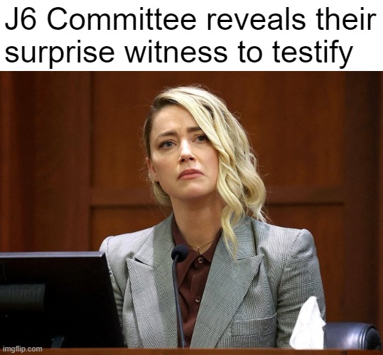 Now we'll get to the bottom of this | J6 Committee reveals their surprise witness to testify | made w/ Imgflip meme maker