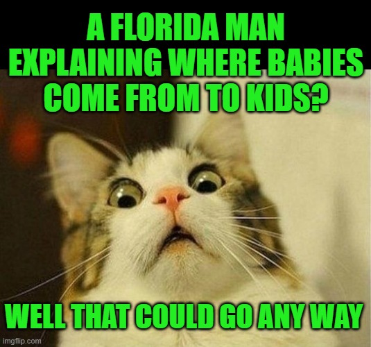 Scared Cat Meme | A FLORIDA MAN EXPLAINING WHERE BABIES COME FROM TO KIDS? WELL THAT COULD GO ANY WAY | image tagged in memes,scared cat | made w/ Imgflip meme maker