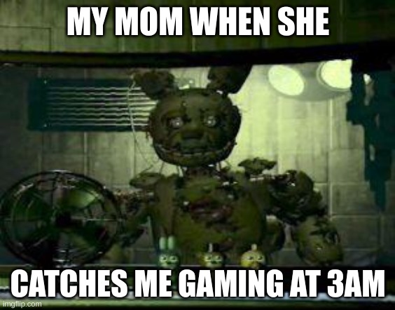 FNAF Springtrap in window | MY MOM WHEN SHE; CATCHES ME GAMING AT 3AM | image tagged in fnaf springtrap in window | made w/ Imgflip meme maker