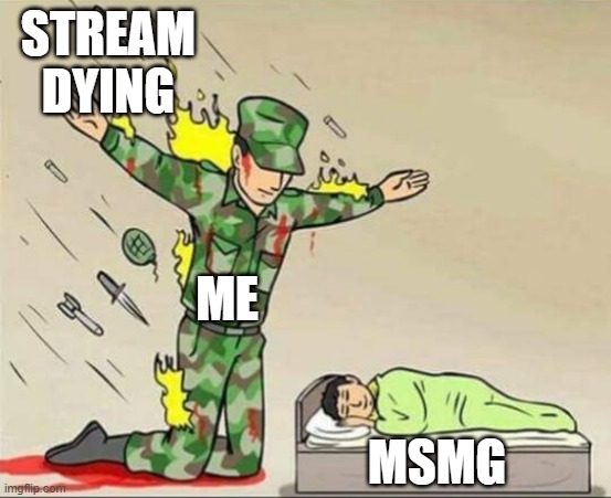 Soldier protecting sleeping child | STREAM DYING; ME; MSMG | image tagged in soldier protecting sleeping child | made w/ Imgflip meme maker