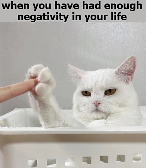 when you have had enough negativity in your life | image tagged in image tag | made w/ Imgflip meme maker