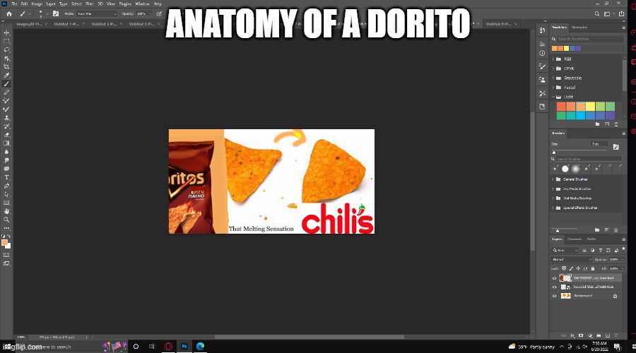 Dort | ANATOMY OF A DORITO | image tagged in cool,doritos,photoshop,funny,funny memes,change my mind | made w/ Imgflip meme maker