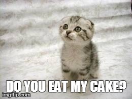 where is my cake? | DO YOU EAT MY CAKE? | image tagged in memes,sad cat | made w/ Imgflip meme maker