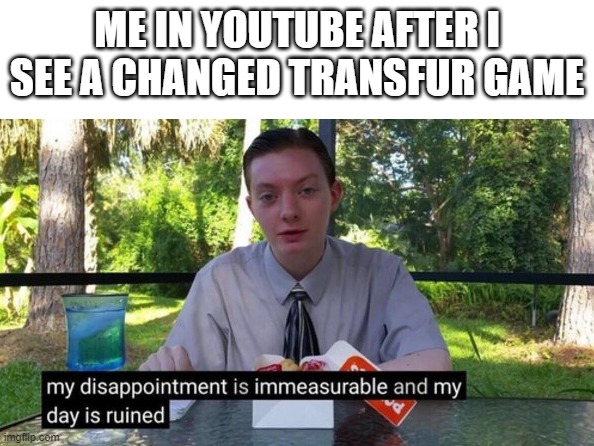 my day is ruined guess i will kill some more furries | ME IN YOUTUBE AFTER I SEE A CHANGED TRANSFUR GAME | image tagged in my day is ruined | made w/ Imgflip meme maker