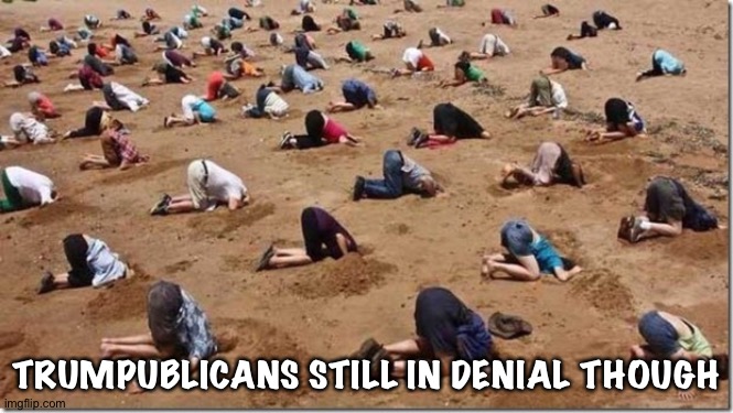 Head in sand | TRUMPUBLICANS STILL IN DENIAL THOUGH | image tagged in head in sand | made w/ Imgflip meme maker
