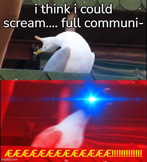 when you suddenly scream æ | i think i could scream.... full communi-; ÆÆÆÆÆÆÆÆÆÆÆÆÆ!!!!!!!!!!!!! | image tagged in screaming bird | made w/ Imgflip meme maker