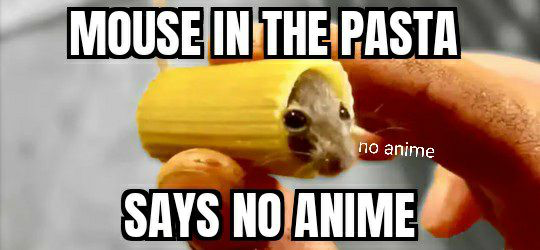 Mouse in the pasta says no anime Blank Meme Template
