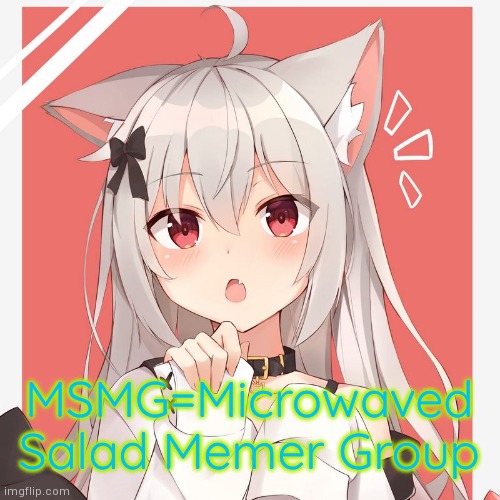 My temp 2 | MSMG=Microwaved Salad Memer Group | image tagged in my temp 2 | made w/ Imgflip meme maker