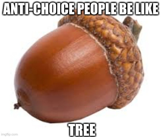 Acorn | ANTI-CHOICE PEOPLE BE LIKE; TREE | image tagged in acorn | made w/ Imgflip meme maker