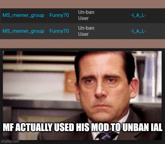 irritated | MF ACTUALLY USED HIS MOD TO UNBAN IAL | image tagged in irritated | made w/ Imgflip meme maker