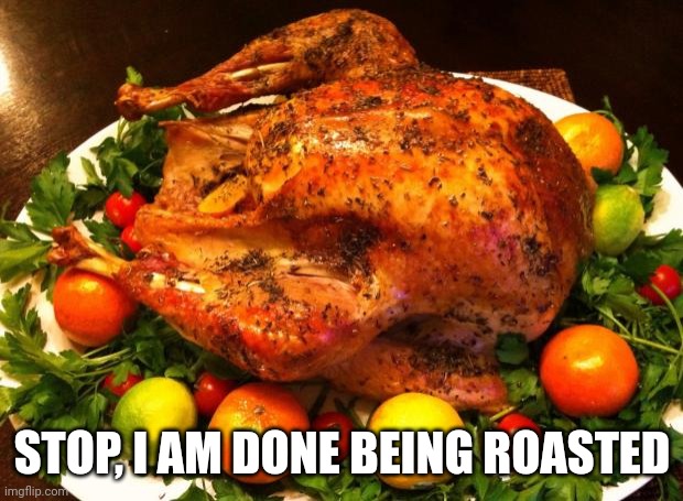 Roasted turkey | STOP, I AM DONE BEING ROASTED | image tagged in roasted turkey | made w/ Imgflip meme maker