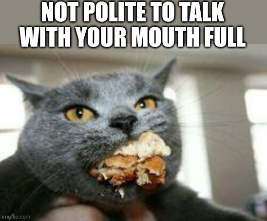 Cat-eating | NOT POLITE TO TALK WITH YOUR MOUTH FULL | image tagged in cat-eating | made w/ Imgflip meme maker