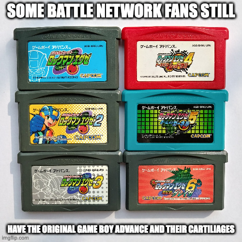 Mega Man Battle Network Cartilages | SOME BATTLE NETWORK FANS STILL; HAVE THE ORIGINAL GAME BOY ADVANCE AND THEIR CARTILIAGES | image tagged in gaming,megaman,megaman battle network,memes | made w/ Imgflip meme maker