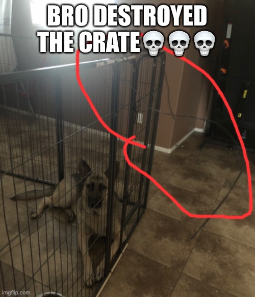 BRO DESTROYED THE CRATE💀💀💀 | made w/ Imgflip meme maker