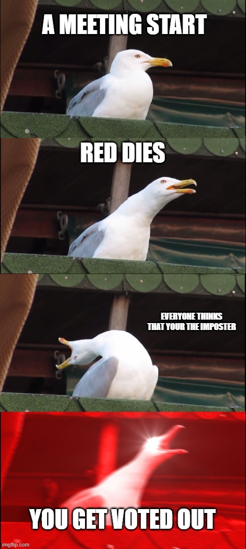 When you play amongus |  A MEETING START; RED DIES; EVERYONE THINKS THAT YOUR THE IMPOSTER; YOU GET VOTED OUT | image tagged in memes,inhaling seagull | made w/ Imgflip meme maker