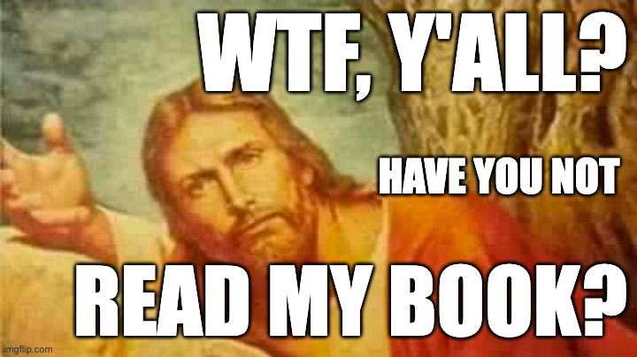 WTF Jesus | WTF, Y'ALL? HAVE YOU NOT; READ MY BOOK? | image tagged in hypocrites,isis extremists,republican jesus,taliban | made w/ Imgflip meme maker