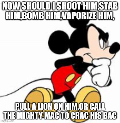 uuuuuuuuh who is him | NOW SHOULD I SHOOT HIM,STAB HIM,BOMB HIM,VAPORIZE HIM, PULL A LION ON HIM,OR CALL THE MIGHTY MAC TO CRAC HIS BAC | image tagged in mickey | made w/ Imgflip meme maker