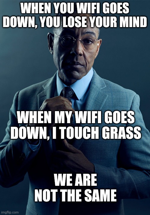 Gus Fring we are not the same | WHEN YOU WIFI GOES DOWN, YOU LOSE YOUR MIND WHEN MY WIFI GOES DOWN, I TOUCH GRASS WE ARE NOT THE SAME | image tagged in gus fring we are not the same | made w/ Imgflip meme maker